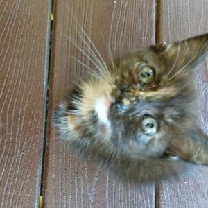 Meet your Posher, Deborah